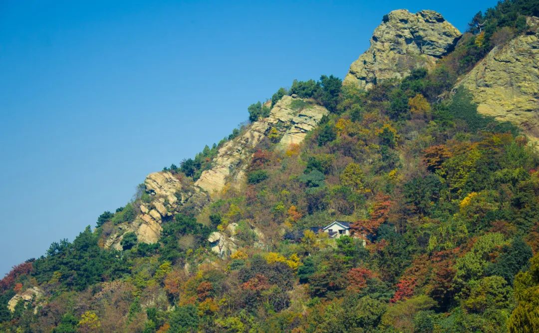 美出新高度再出新辉煌,美出新高度种草