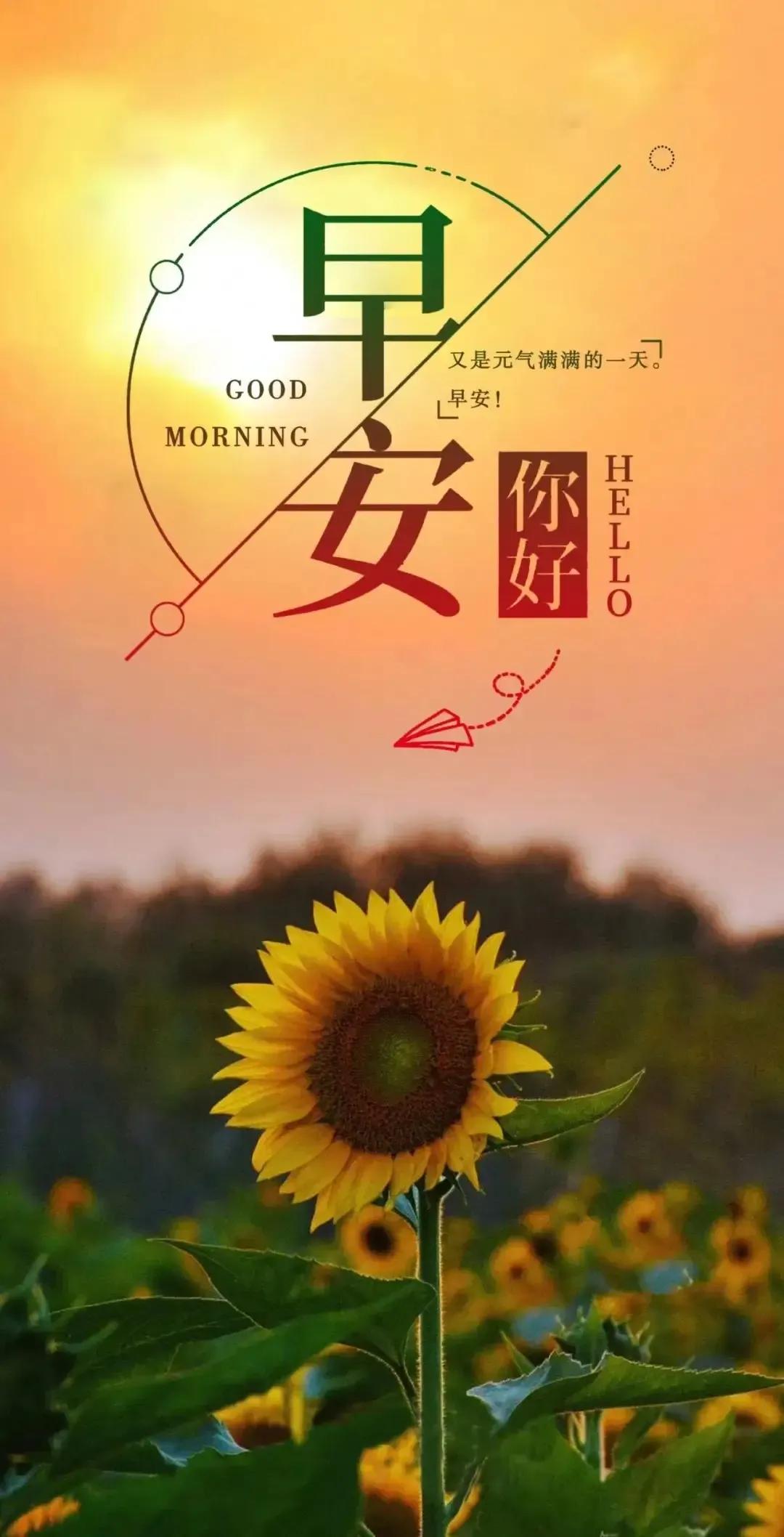 乙木命2023年癸卯年运势怎样,农历2023年癸卯年正月结婚吉日