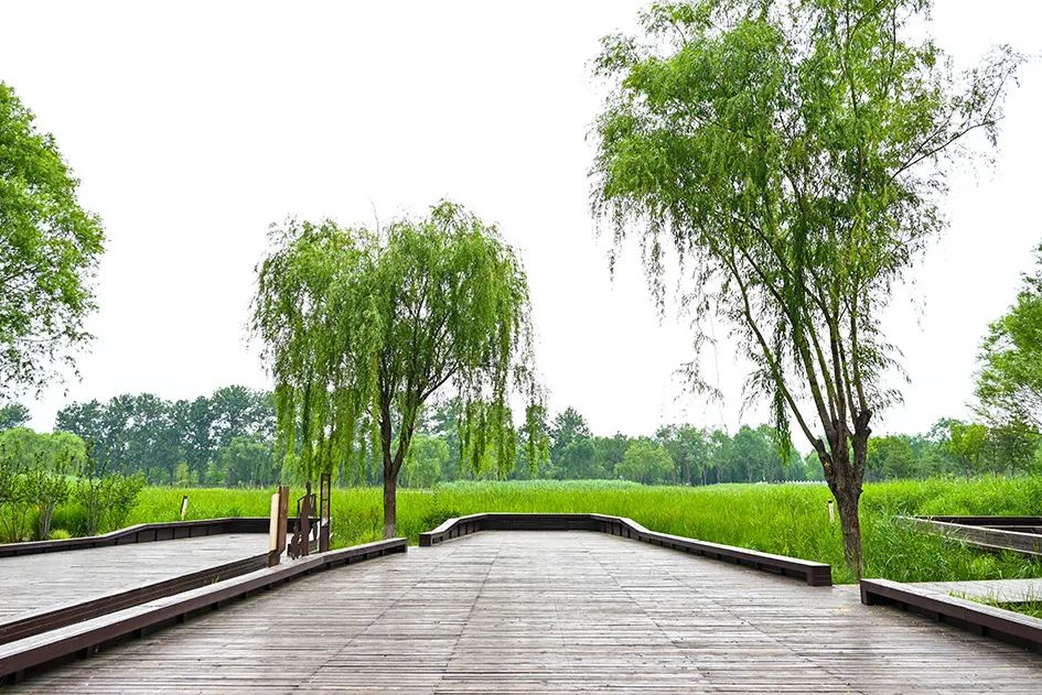 北京免费景美公园大全,北京这个公园也很美