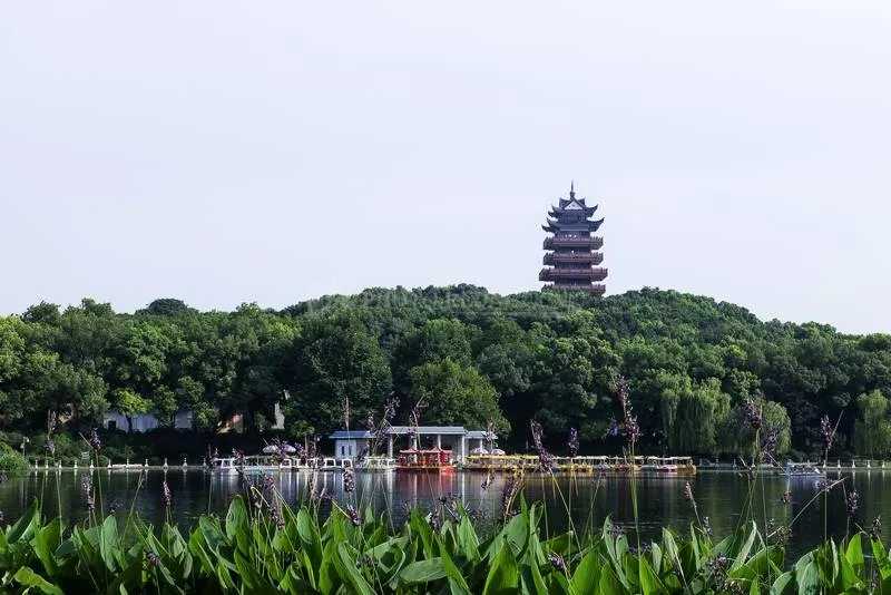 神农公园风景,神农公园的风景