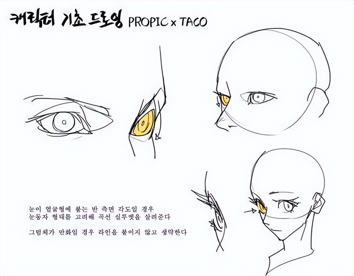 绘画素材|手绘眼睛各种练习素材参考​​​