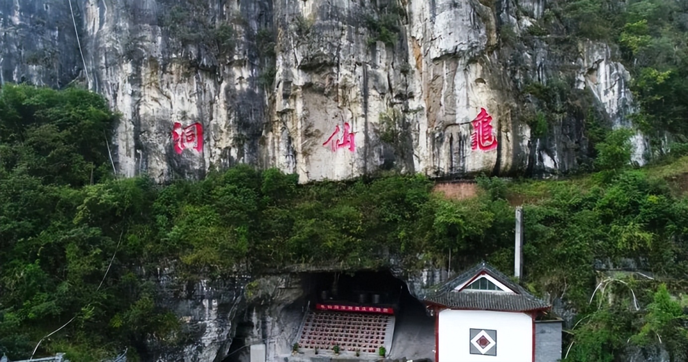 龟仙洞酒优势,龟仙洞酒真实评测