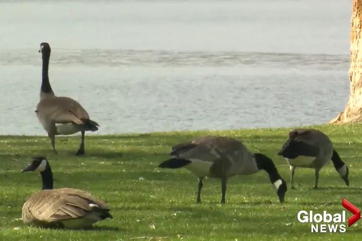 海关助力新产品出口,海关助力首批产品出口