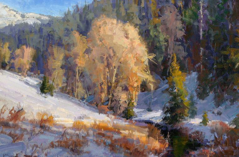 松露的医用价值,意大利白松露作用