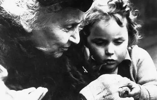 早教到底有没有用？只是花高价带孩子玩？还是真的对孩子有用呢？