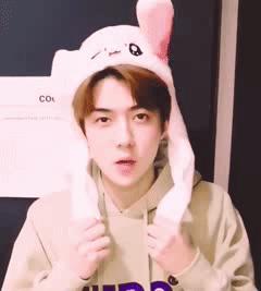 微信表情包搞笑动态图吃饭,搞笑动态图惊不惊喜意不意外