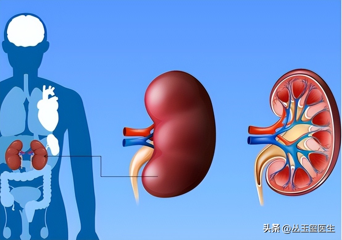 尿毒症死亡主要原因-心血管疾病，超声检查效果如何？