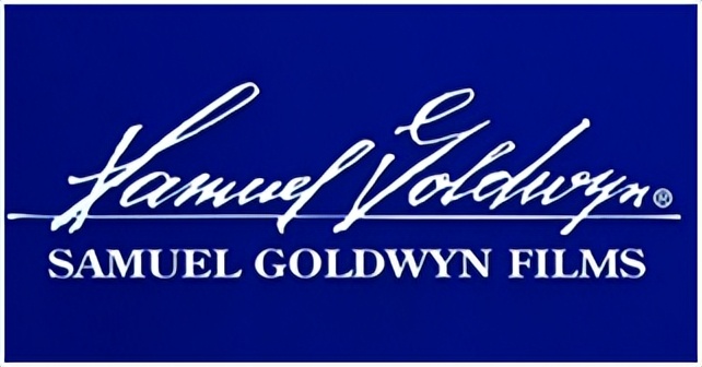 美国电影最大投资公司,美国制片公司