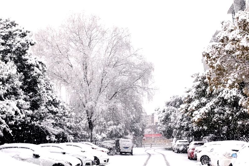 带火焰电暖风取暖器测评,变频电暖器全屋取暖神器2200w