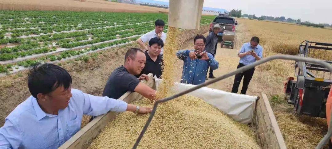 百社争流千帆竞乡土大地绘蓝图——莒南县*党**支部创办合作社专题展播（五）