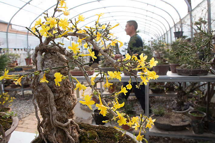 河南面积最大县山沟沟里的风景，沟壑纵横大棚多，深谷人家春日忙