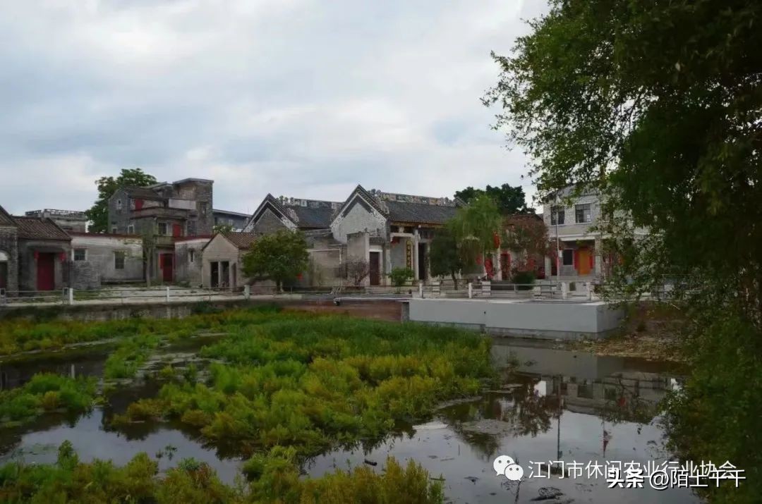 秋分将至，来游江门乡村休闲精品线路啦！美景美食不能少