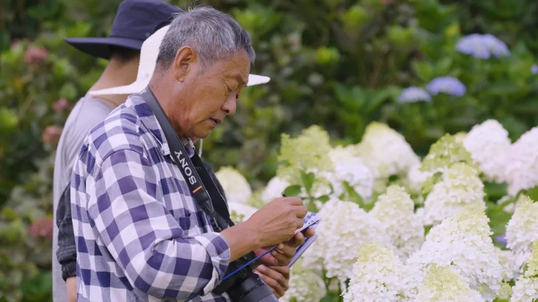 云花大结局云花和谁在一起了,斗南云花