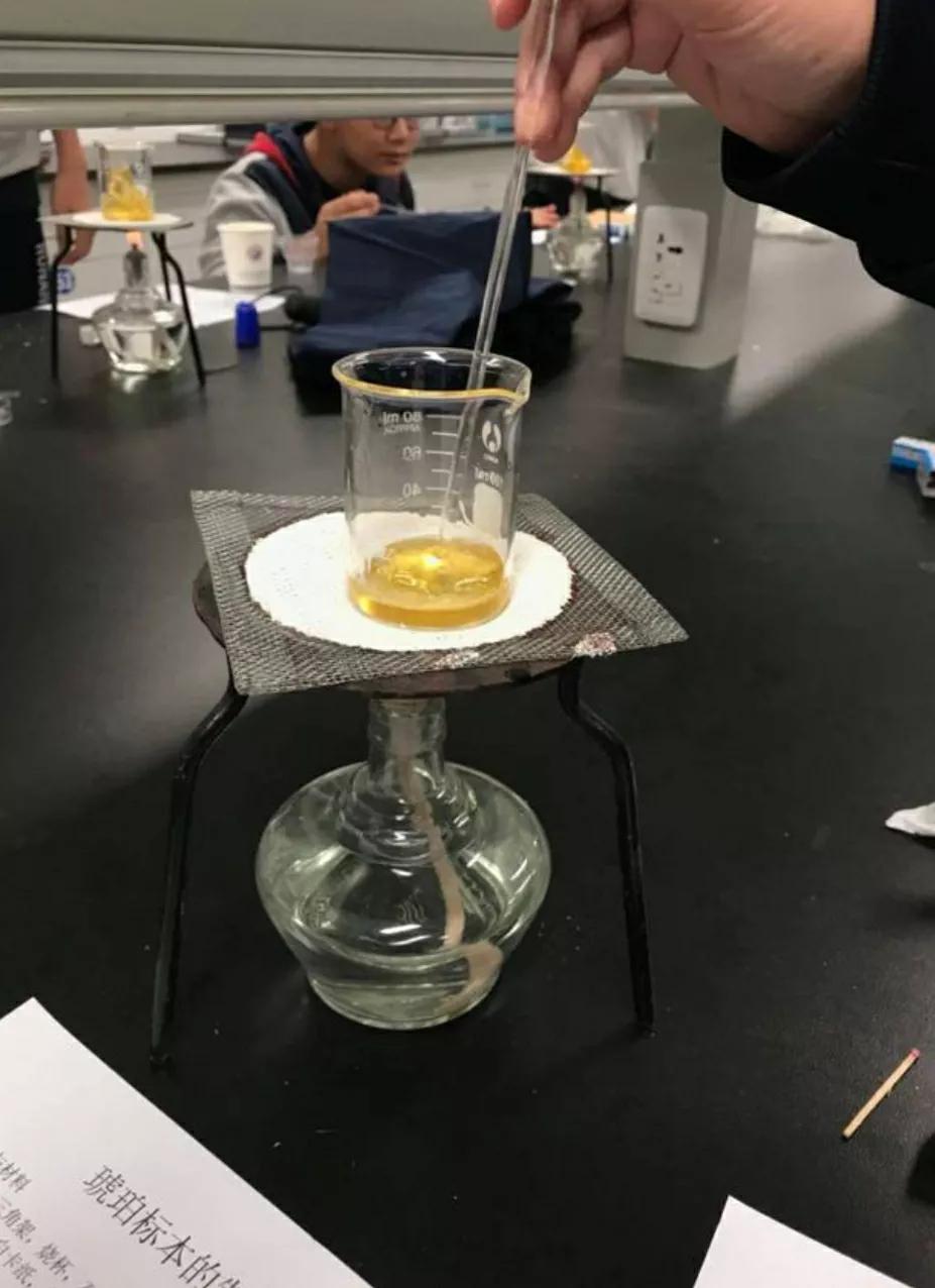 琥珀标本最简单的制作方法,制作琥珀标本要注意什么