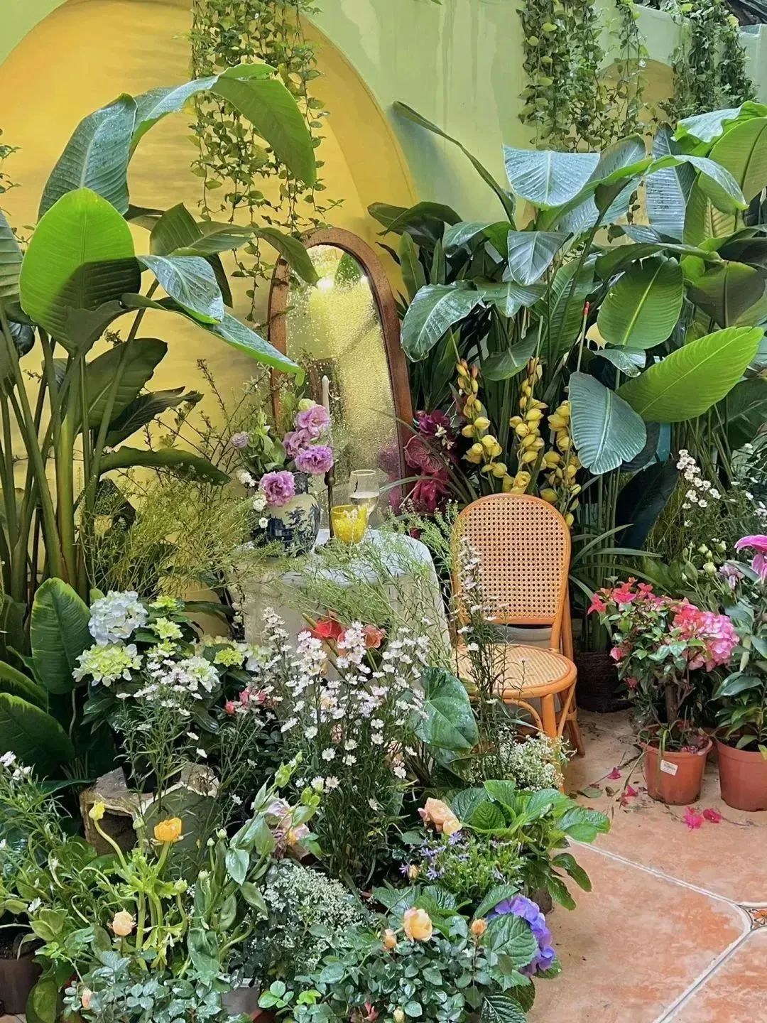 榴莲爱好者去果园,榴莲爱好者来打卡