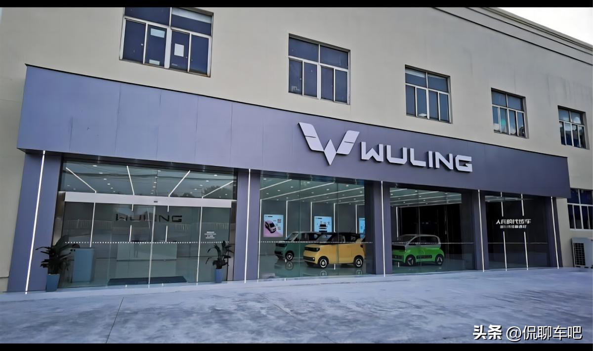 五菱之光小卡是多用途货车吗,五菱之光小卡为什么要加价