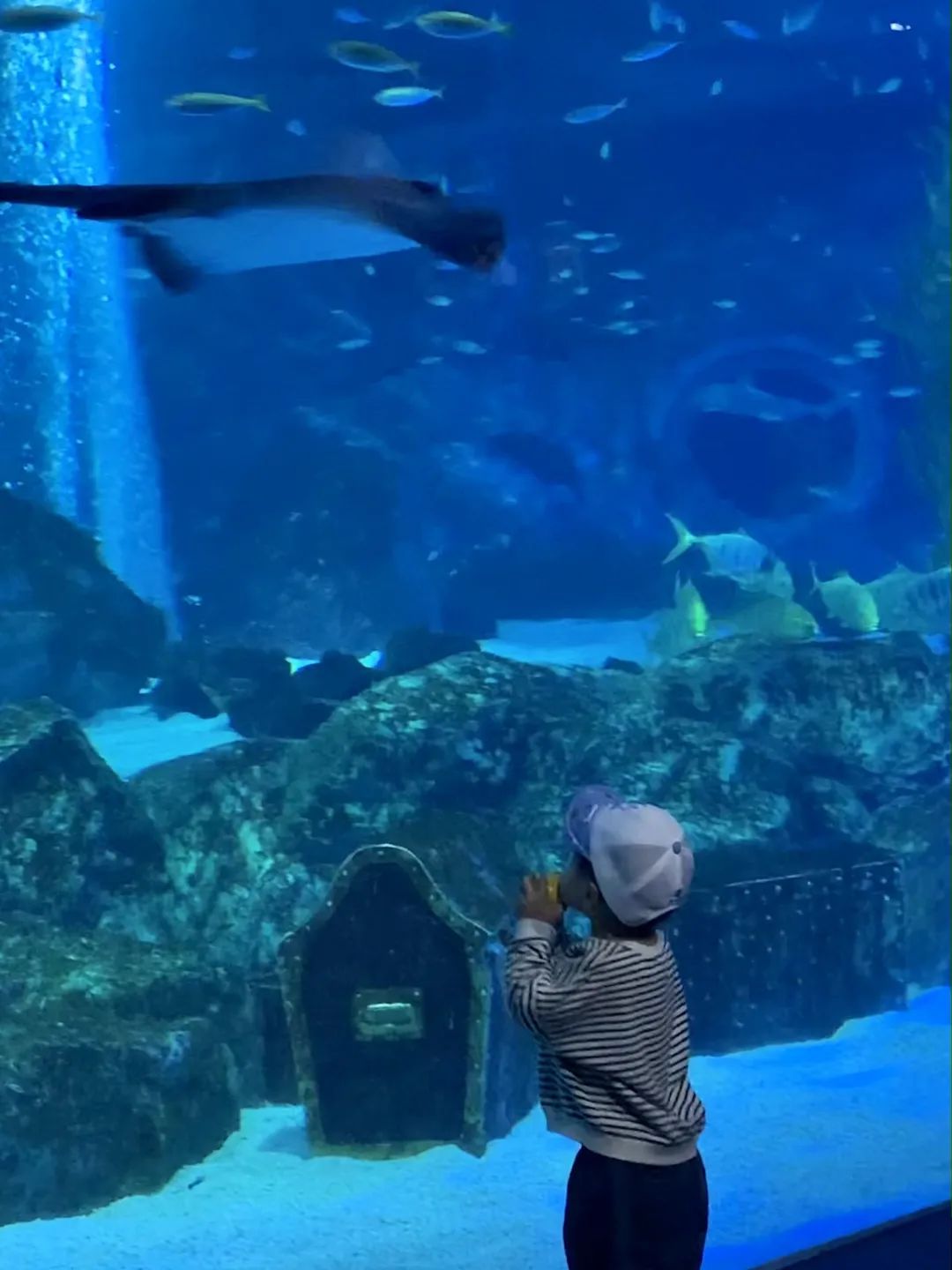 来首尔散步好地方,来首尔去哪玩