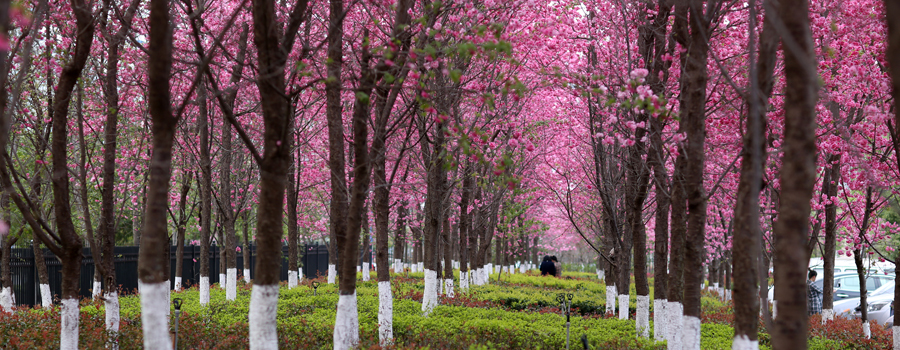 云南农业大学农耕文化,云南农业大学尚农楼