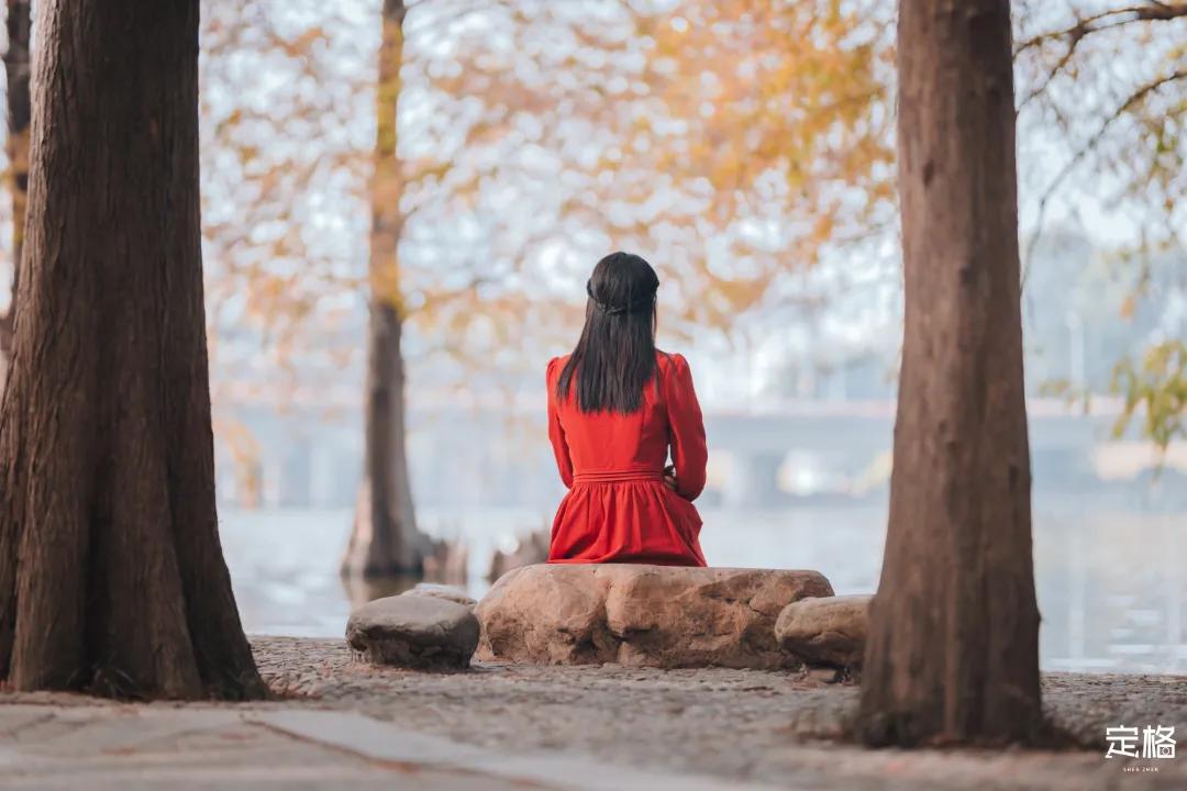 娲箹鍏洯娣卞湷,娲箹鍏洯鑽疯姳