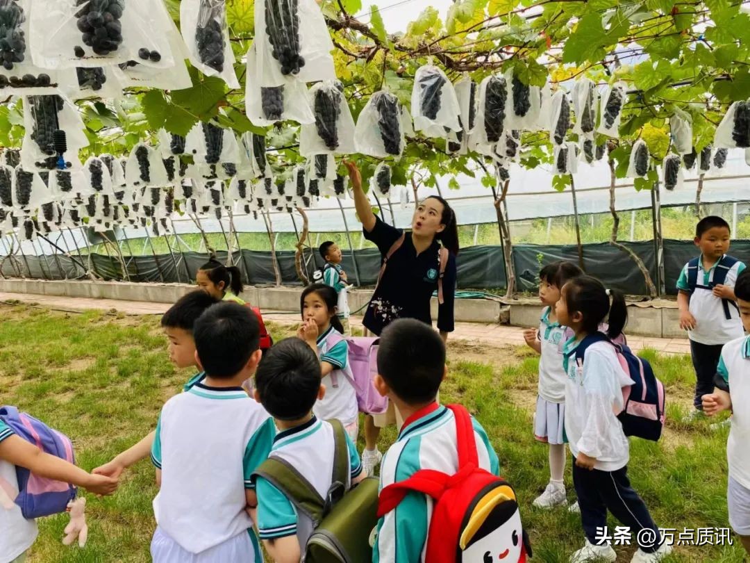 展才艺、练市场、摘葡萄、看电影…幼儿园“六一”主题周精彩回眸
