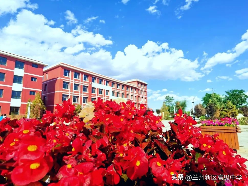 兰州新区高级中学学子在信息素养提升实践活动中斩获多个奖项