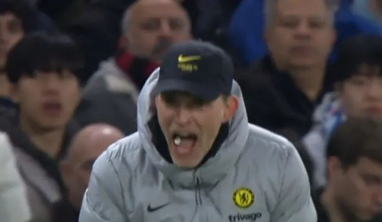 娆ф枃娆у啝,娆ф枃娆у啝鍐犲啗