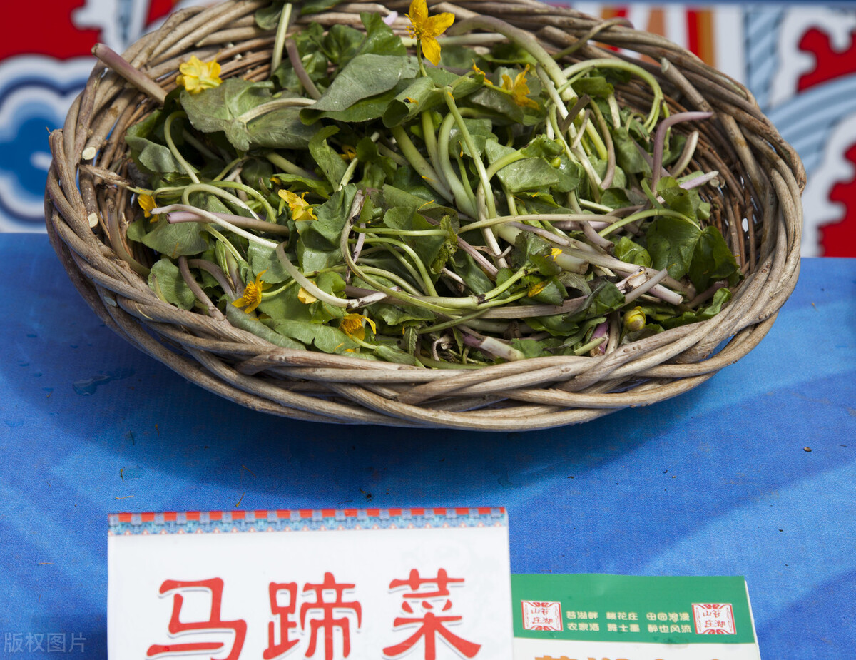 名字很土但很好吃的中国食物,名字不好听但却美味的野菜