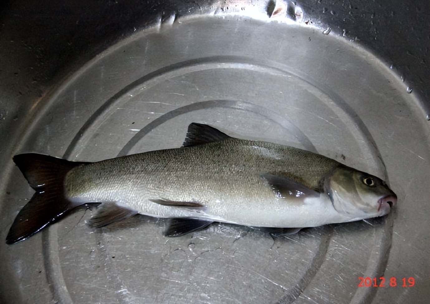 自驾游西藏318川藏线如何回来,川藏自驾游巴塘到八宿路段