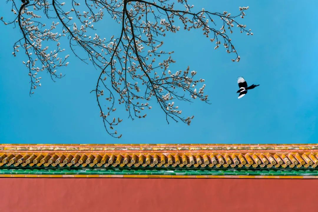 这个姿势躺3分钟瘦肚子,什么动作使全身气血运行快速