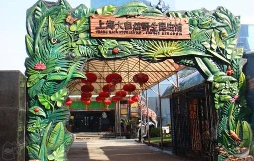 浦东亲子游玩地方,浦东遛娃好去处室内