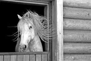 代马依风成语意思,一日一则典故成语