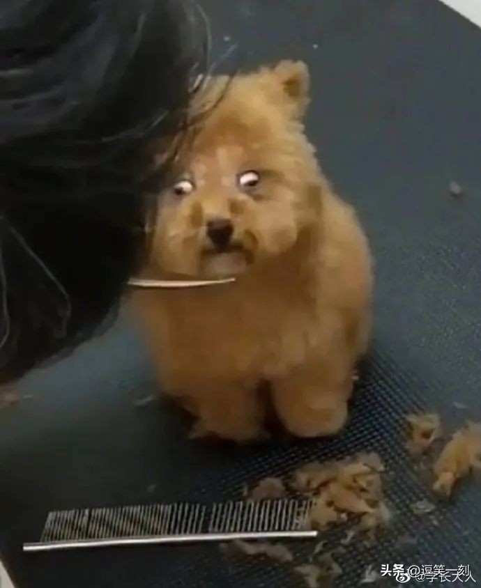 神仙男友的奇葩操作,男友的奇葩脑回路评论区笑不活了