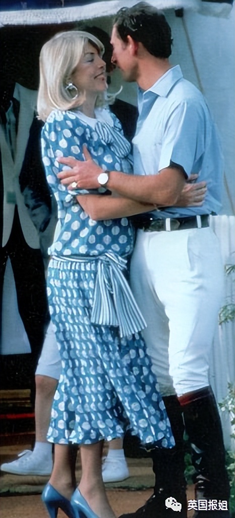 查尔斯另一个结局是什么,查尔斯和戴安娜斗争