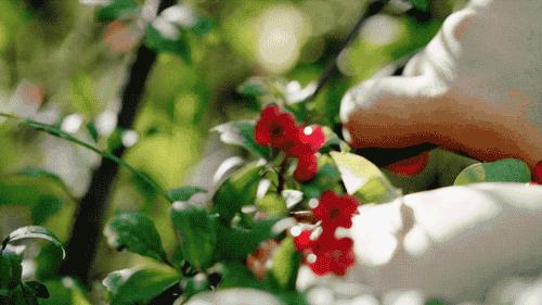 裸辞女教师云南,辞职女教师隐居山村多年