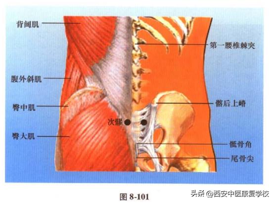 足太阳膀胱经上的穴位,足太阳膀胱经募穴