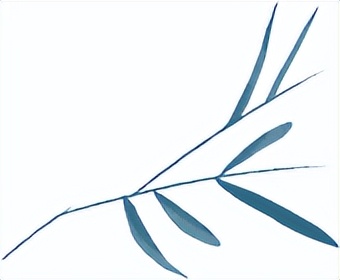 脸谱有好看的吗,比较惊艳的脸谱