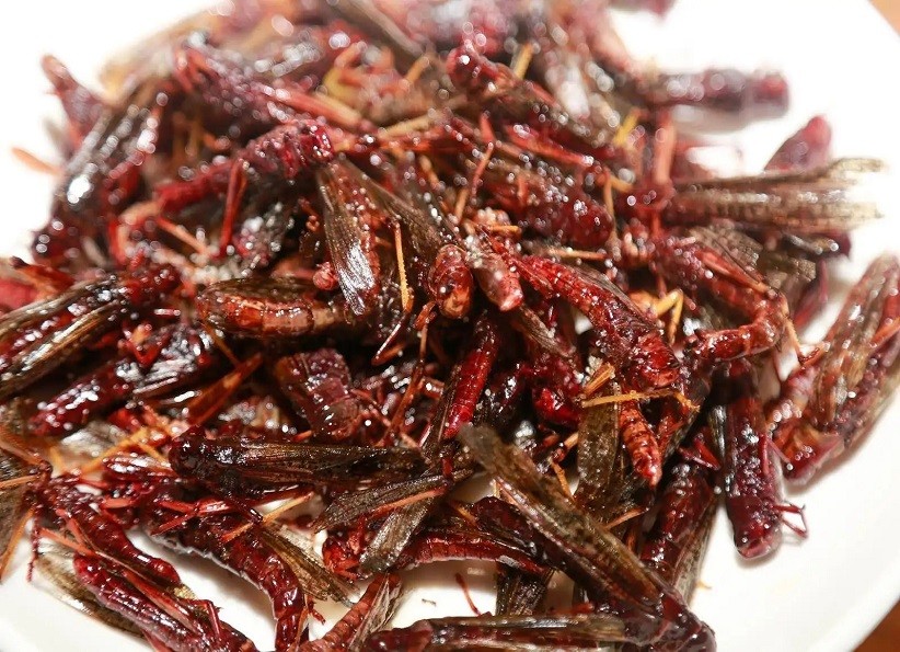 天津四大怪菜,天津经典十大名菜