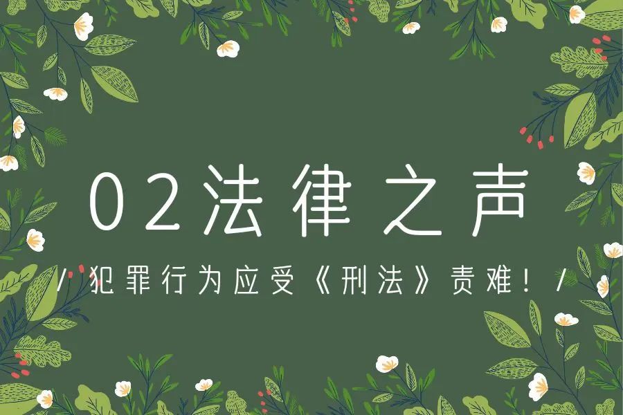 逾12万条个人信息泄露,非法获取公民信息达千万条