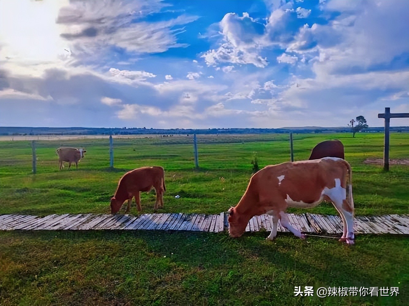 壮美内蒙古鄂尔多斯,内蒙古鄂尔多斯风景