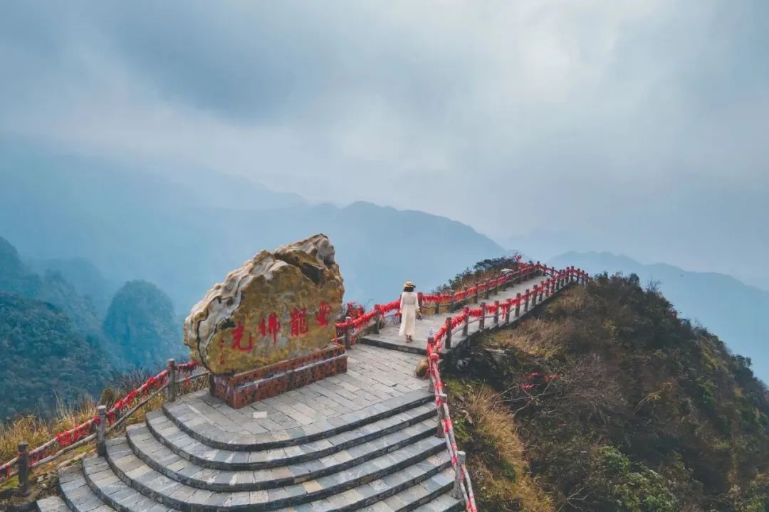 猫咪走太空步原视频最火,猫咪壁虎漫步视频
