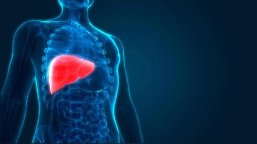 胆红素高用什么药可以很快降下来,直接胆红素和总胆红素高吃什么药