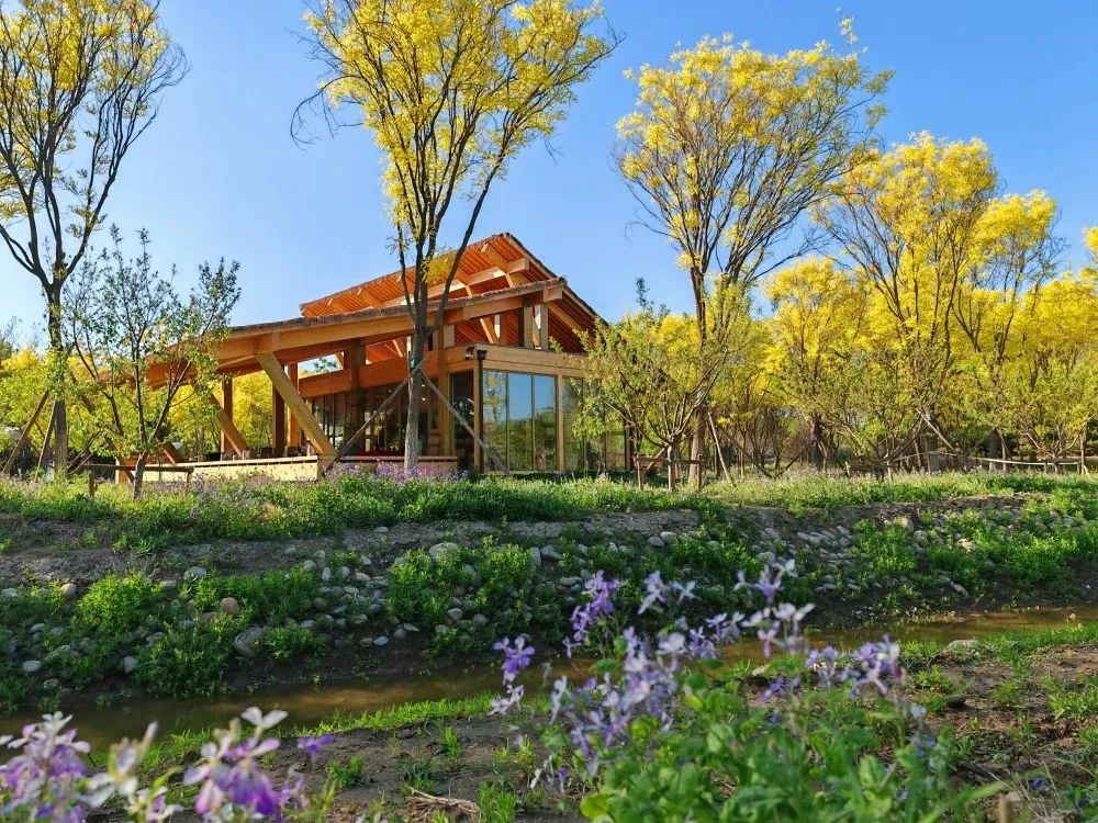 南苑森林湿地公园信息,南苑森林湿地公园门票