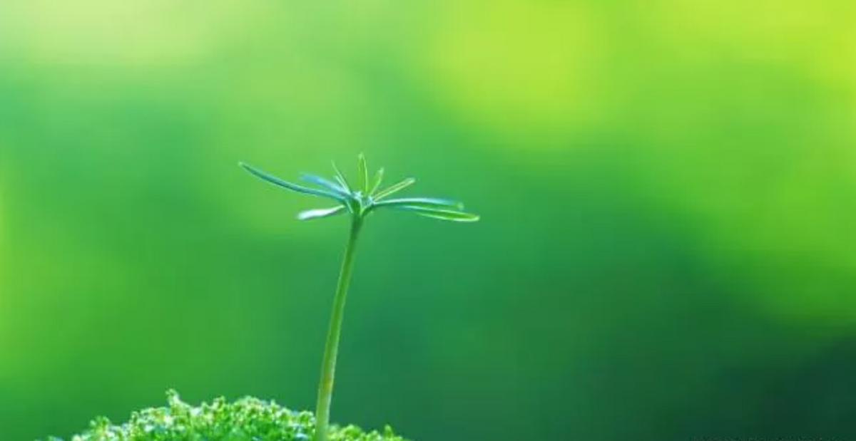 “同房”时女性声音太大，整日惊扰邻居，医生：这其实是一种疾病