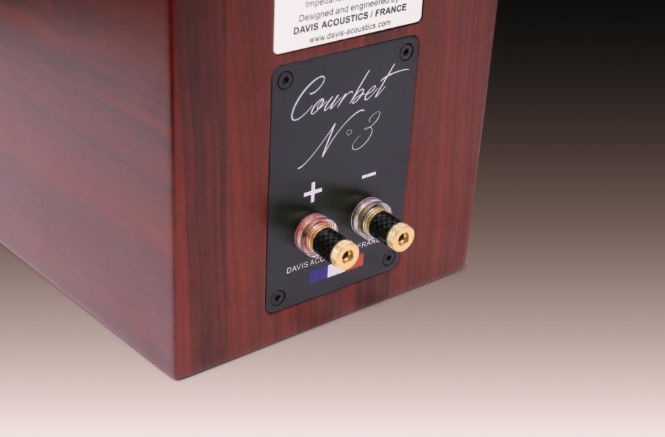 引爆小空间DavisAcousticsCourbetN°3书架式音箱