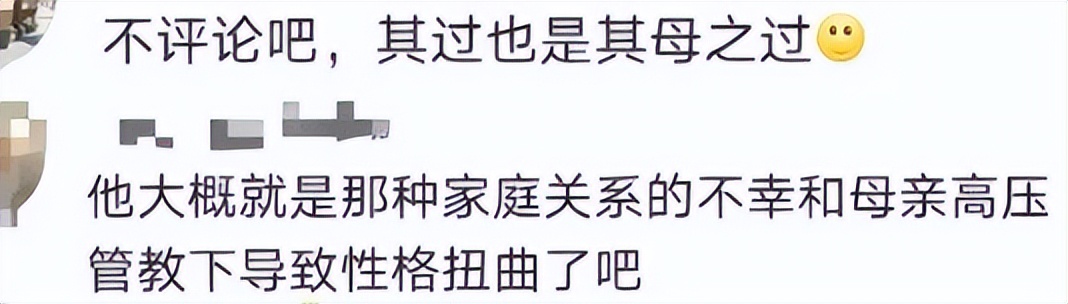 吴谢宇案庭审细节首次公布引关注,吴谢宇4案庭审细节曝光