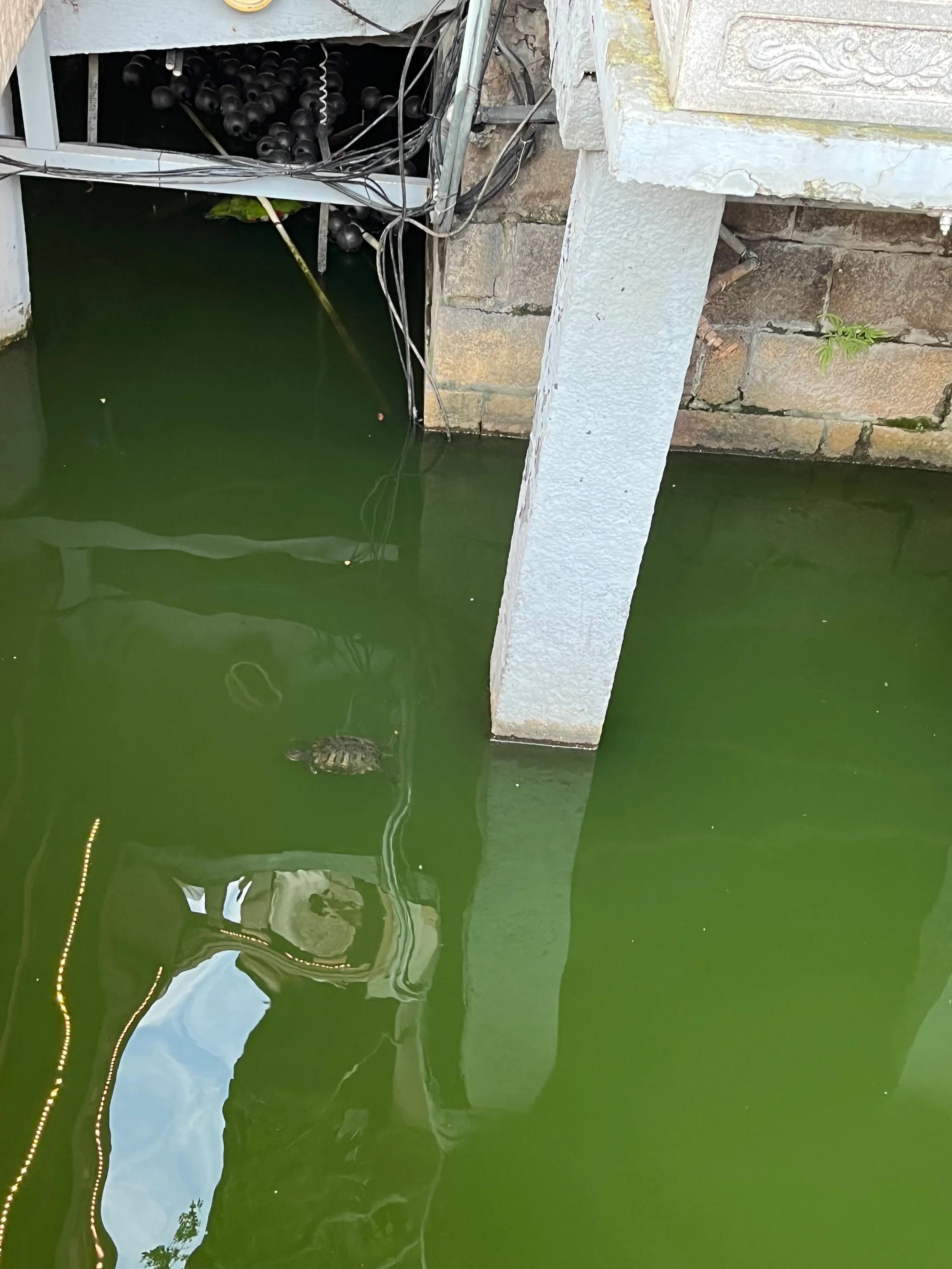 十一上海儿童旅游攻略,上海3天旅游攻略城隍庙