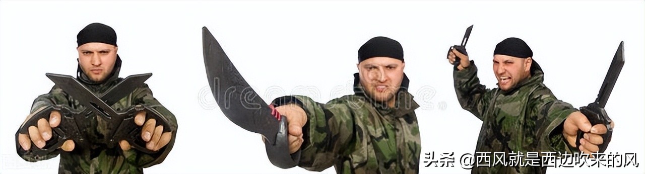 连载#一只大猫的奋斗#用大家的命做赌注,玻璃眼露出凶残的本性