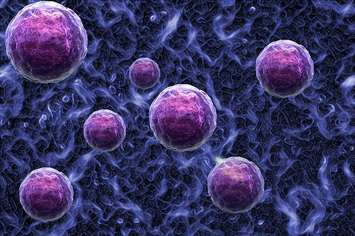 日本为什么不建议打hpv疫苗,日本为什么不打hpv疫苗