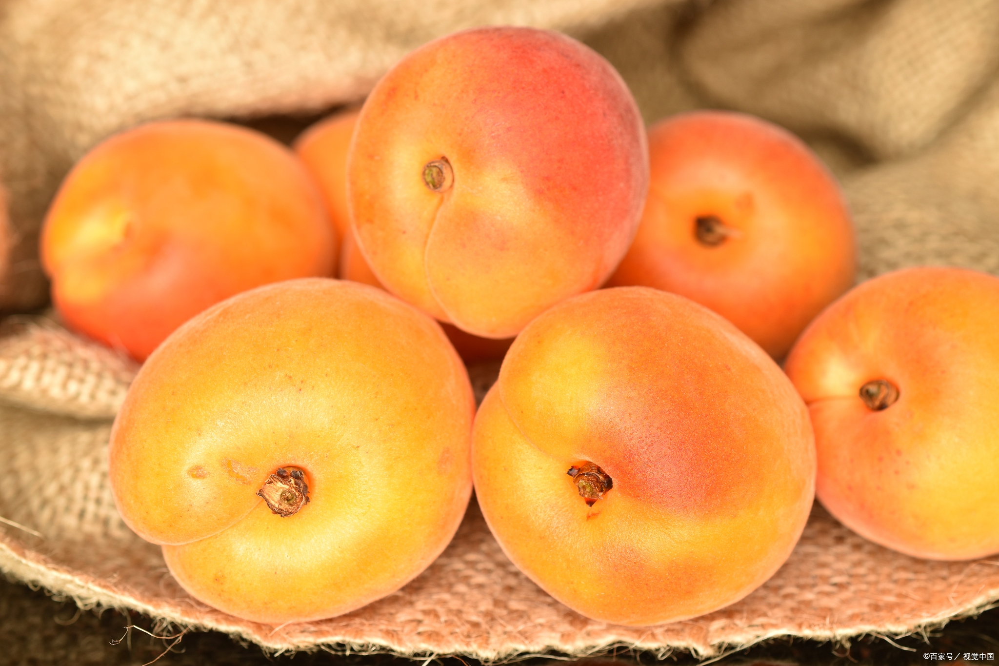 蚌埠石榴是特产吗,蚌埠必吃十大特产