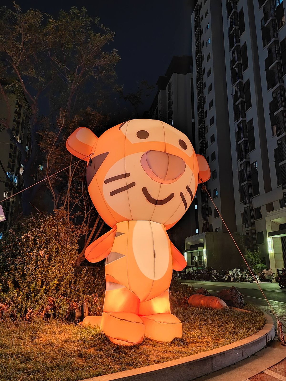 荣耀magic4至臻版体验一个月后,荣耀magic4至臻版全套实拍图